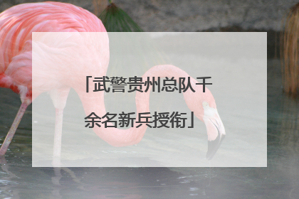武警贵州总队千余名新兵授衔