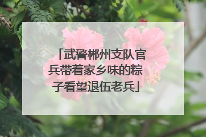 武警郴州支队官兵带着家乡味的粽子看望退伍老兵