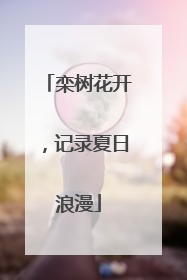 栾树花开，记录夏日浪漫