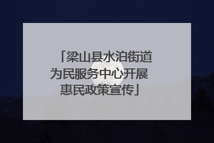 梁山县水泊街道为民服务中心开展惠民政策宣传
