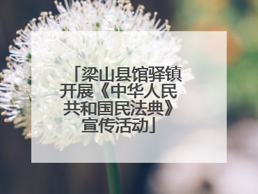 梁山县馆驿镇开展《中华人民共和国民法典》宣传活动