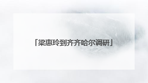 梁惠玲到齐齐哈尔调研