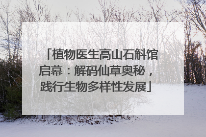 植物医生高山石斛馆启幕：解码仙草奥秘，践行生物多样性发展