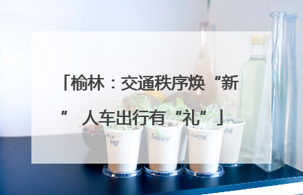 榆林：交通秩序焕“新” 人车出行有“礼”
