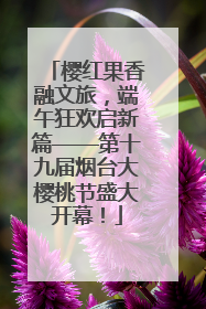 樱红果香融文旅，端午狂欢启新篇——第十九届烟台大樱桃节盛大开幕！