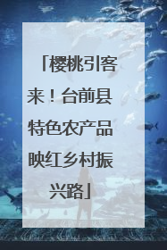 樱桃引客来！台前县特色农产品映红乡村振兴路