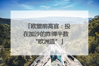 欧盟前高官：投在加沙的炸弹半数“欧洲造”