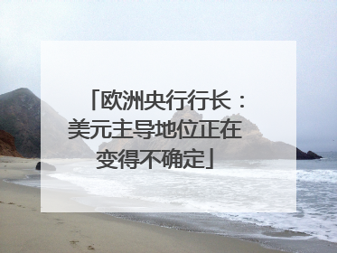 欧洲央行行长：美元主导地位正在变得不确定