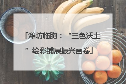 潍坊临朐：“三色沃土”绘彩铺展振兴画卷