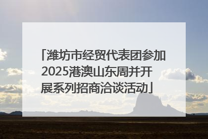 潍坊市经贸代表团参加2025港澳山东周并开展系列招商洽谈活动
