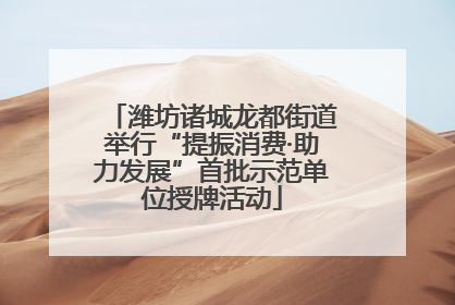 潍坊诸城龙都街道举行“提振消费·助力发展”首批示范单位授牌活动