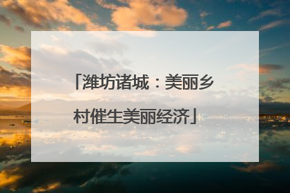 潍坊诸城：美丽乡村催生美丽经济