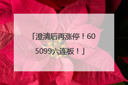 澄清后再涨停！605099六连板！