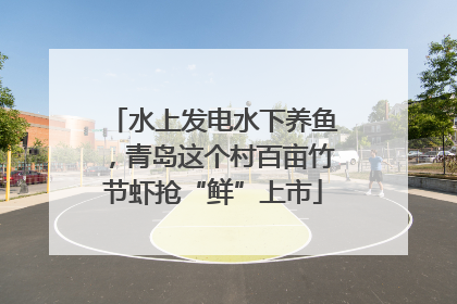 水上发电水下养鱼，青岛这个村百亩竹节虾抢“鲜”上市