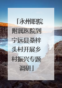 永州职院附属医院到宁远县桑梓头村开展乡村振兴专题调研