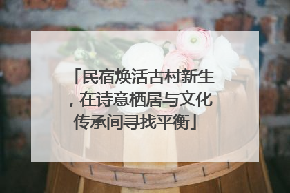 民宿焕活古村新生，在诗意栖居与文化传承间寻找平衡