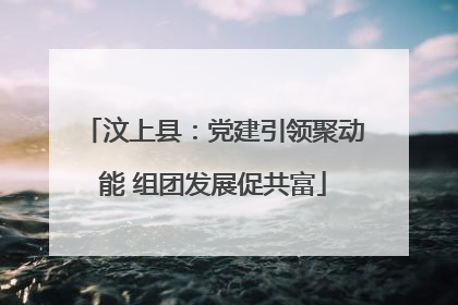 汶上县：党建引领聚动能 组团发展促共富