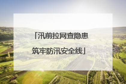 汛前拉网查隐患 筑牢防汛安全线