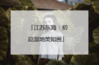 江苏东海：初夏湿地美如画