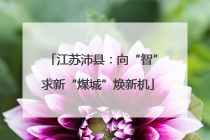 江苏沛县：向“智”求新“煤城”焕新机