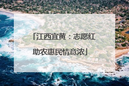 江西宜黄：志愿红助农惠民情意浓