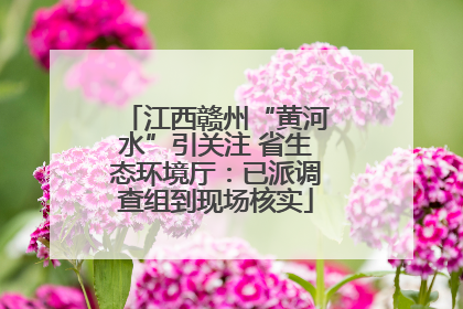 江西赣州“黄河水”引关注 省生态环境厅：已派调查组到现场核实