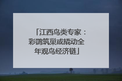 江西鸟类专家：彩鹮筑巢或撬动全年观鸟经济链
