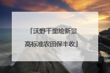 沃野千里绘新景 高标准农田保丰收