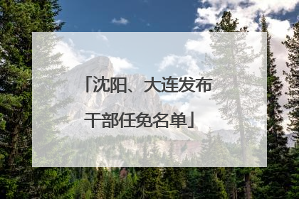 沈阳、大连发布干部任免名单