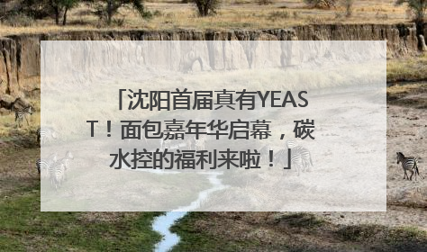 沈阳首届真有YEAST！面包嘉年华启幕，碳水控的福利来啦！