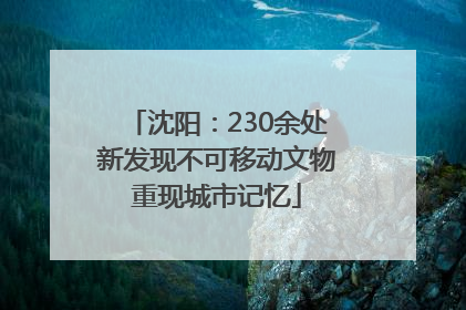 沈阳：230余处新发现不可移动文物重现城市记忆