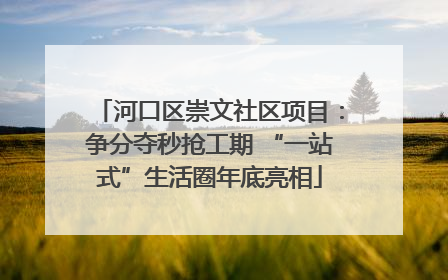 河口区崇文社区项目：争分夺秒抢工期 “一站式”生活圈年底亮相