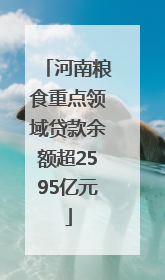 河南粮食重点领域贷款余额超2595亿元