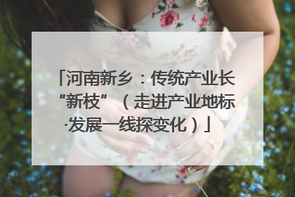 河南新乡：传统产业长“新枝”（走进产业地标·发展一线探变化）