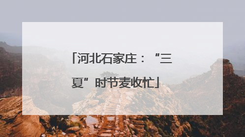 河北石家庄：“三夏”时节麦收忙
