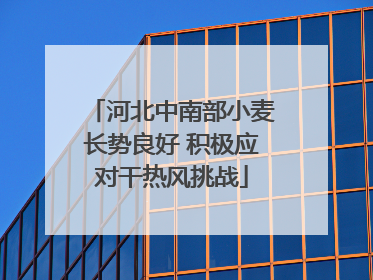 河北中南部小麦长势良好 积极应对干热风挑战