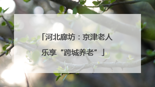 河北廊坊：京津老人乐享“跨城养老”