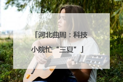 河北曲周：科技小院忙“三夏”