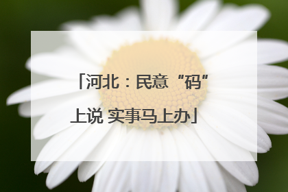 河北：民意“码”上说 实事马上办