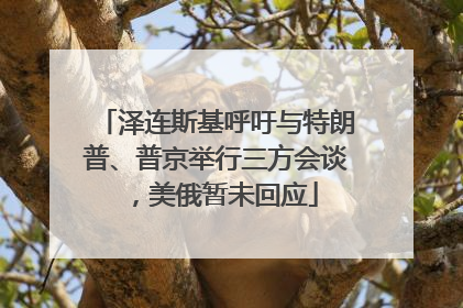 泽连斯基呼吁与特朗普、普京举行三方会谈，美俄暂未回应