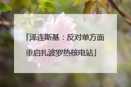泽连斯基：反对单方面重启扎波罗热核电站