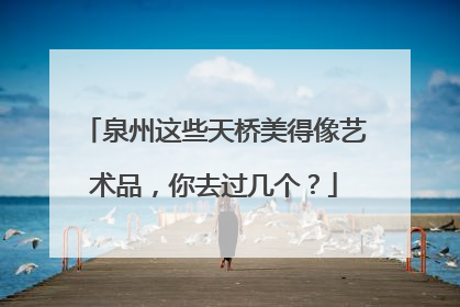 泉州这些天桥美得像艺术品，你去过几个？