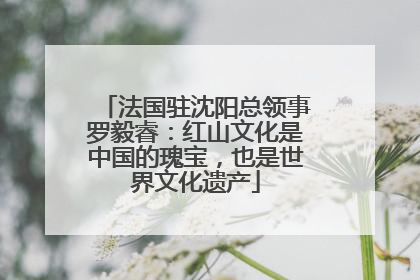 法国驻沈阳总领事罗毅睿：红山文化是中国的瑰宝，也是世界文化遗产