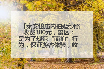 泰安岱庙内拍婚纱照收费300元，景区：是为了规范“商拍”行为，保证游客体验，收取费用全部上交国库