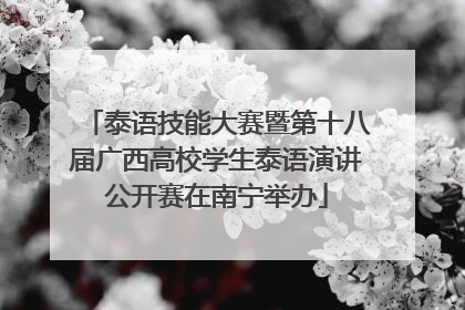 泰语技能大赛暨第十八届广西高校学生泰语演讲公开赛在南宁举办