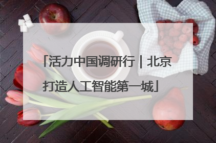 活力中国调研行｜北京打造人工智能第一城