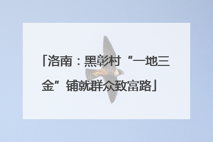 洛南：黑彰村“一地三金”铺就群众致富路