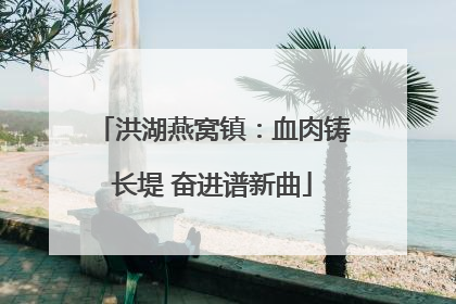 洪湖燕窝镇：血肉铸长堤 奋进谱新曲
