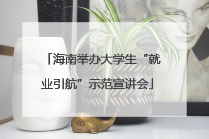 海南举办大学生“就业引航”示范宣讲会