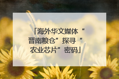 海外华文媒体“晋南粮仓”探寻“农业芯片”密码
